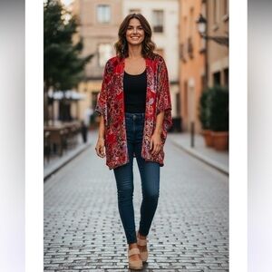 See Video Clip 😍 ▶️ Johnny Was ◀️ Bobcat Burnout Velvet Shawl One Size New